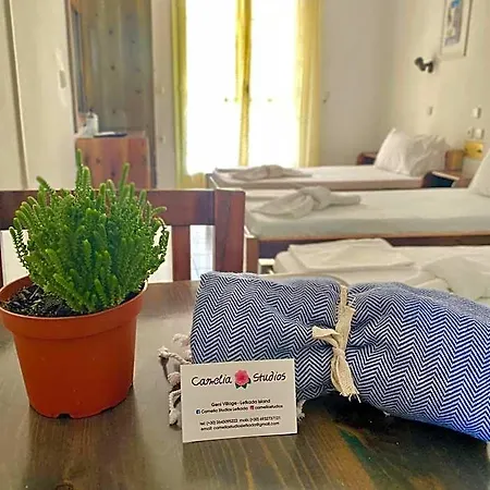 Hotel Camelia 3*