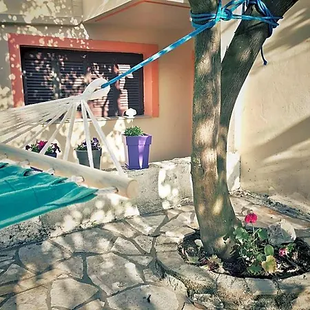 Camelia Hotel