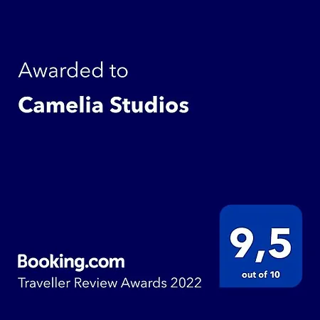 فندق Camelia 3*